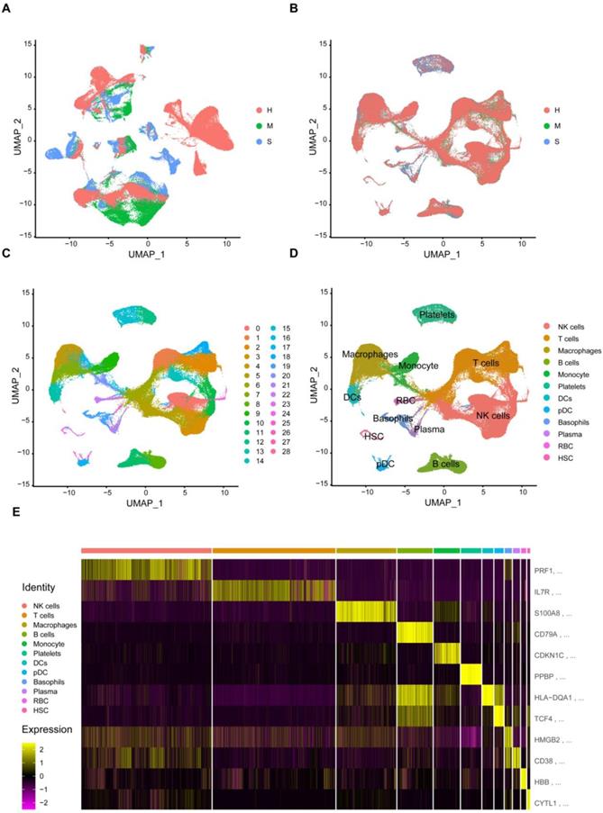 Int J Biol Sci Image