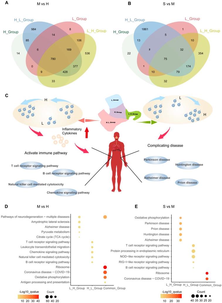 Int J Biol Sci Image