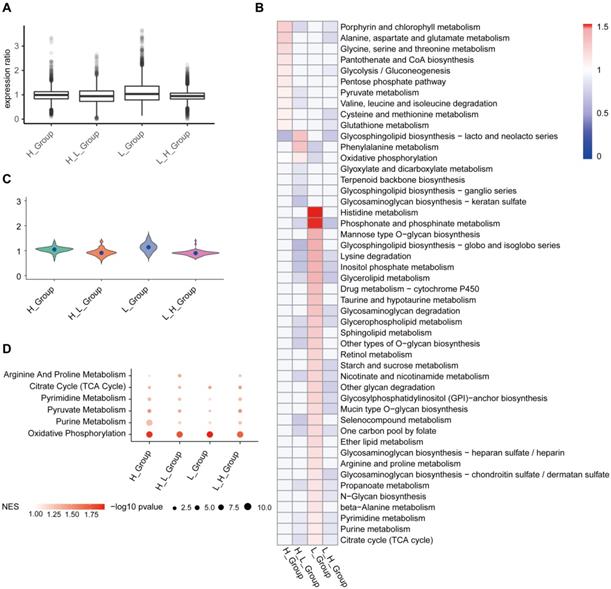 Int J Biol Sci Image