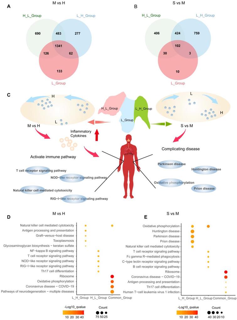 Int J Biol Sci Image