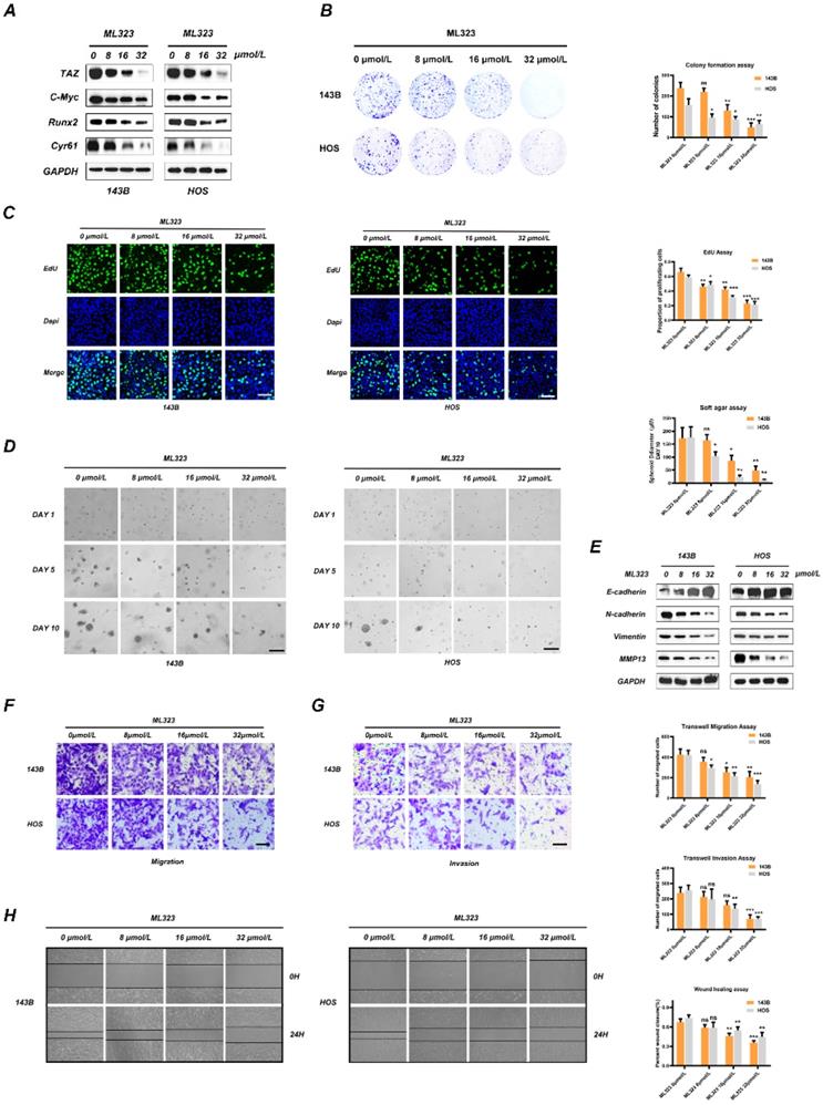 Int J Biol Sci Image