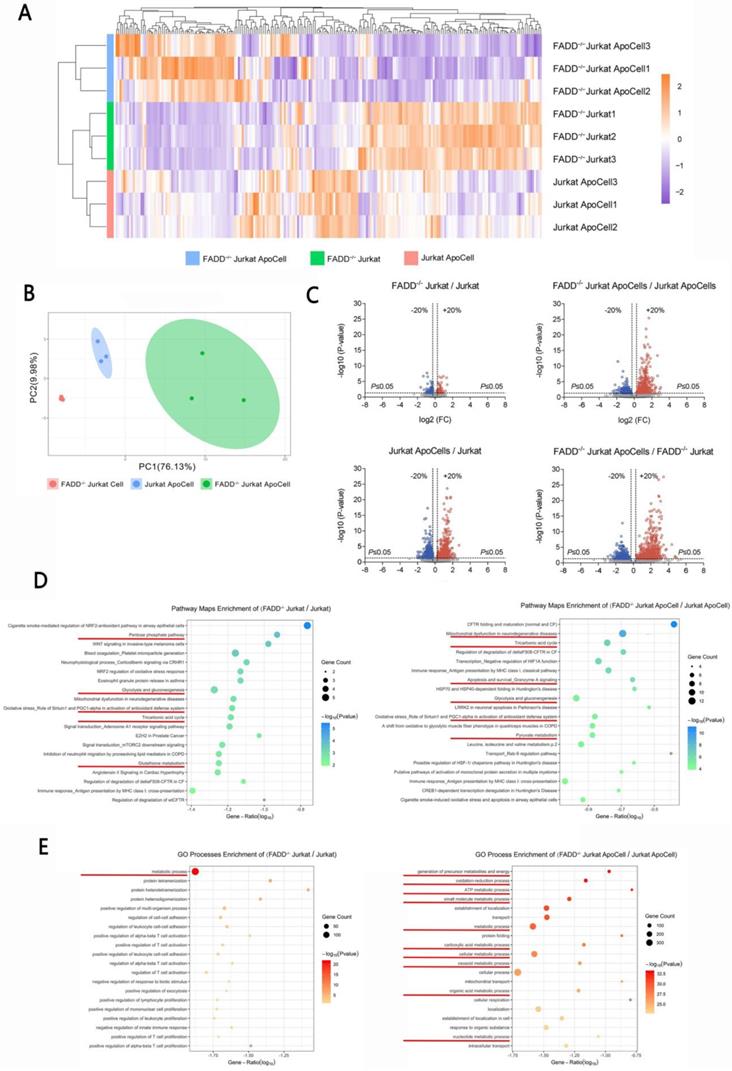 Int J Biol Sci Image