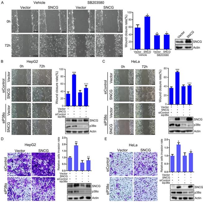 Int J Biol Sci Image