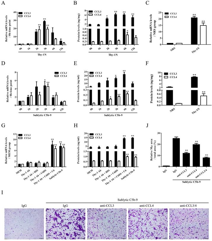 Int J Biol Sci Image