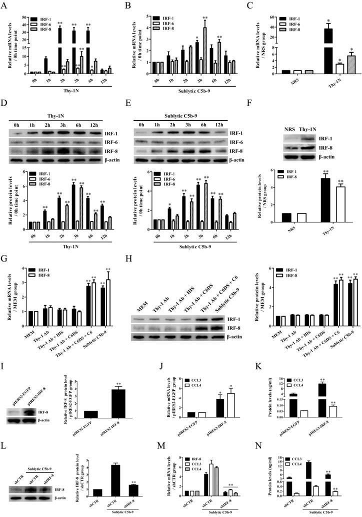 Int J Biol Sci Image