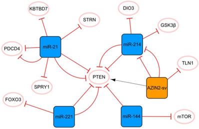 Int J Biol Sci Image