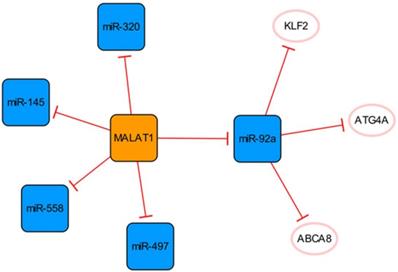 Int J Biol Sci Image