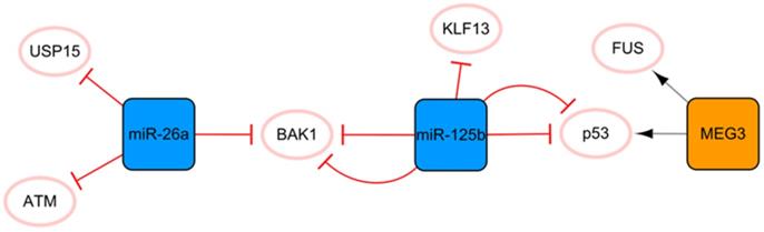 Int J Biol Sci Image