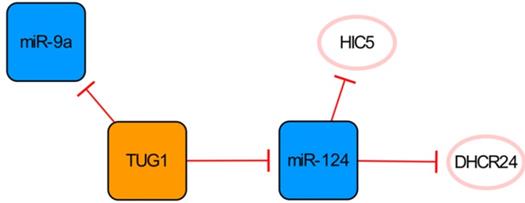 Int J Biol Sci Image