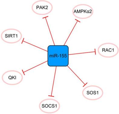 Int J Biol Sci Image