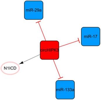 Int J Biol Sci Image