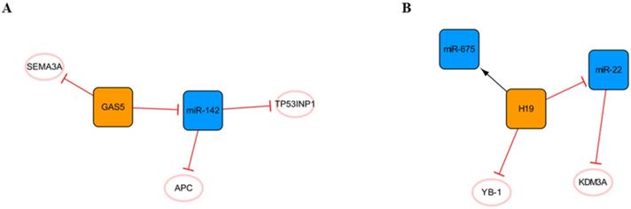 Int J Biol Sci Image