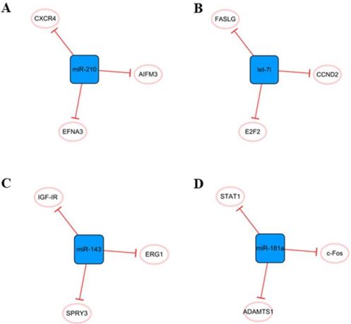 Int J Biol Sci Image