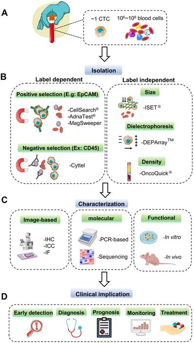 Int J Biol Sci Image