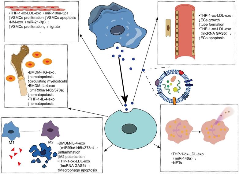 Int J Biol Sci Image