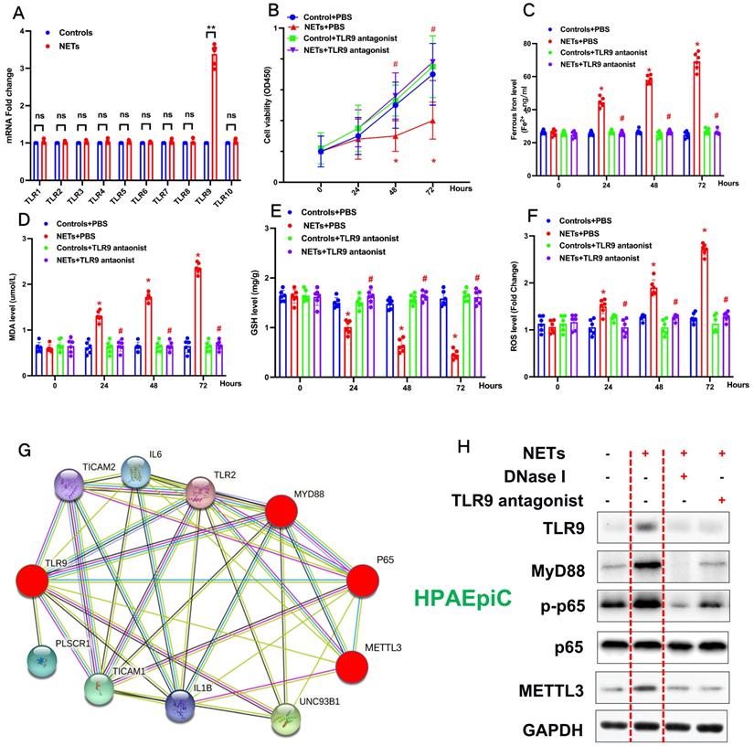 Int J Biol Sci Image