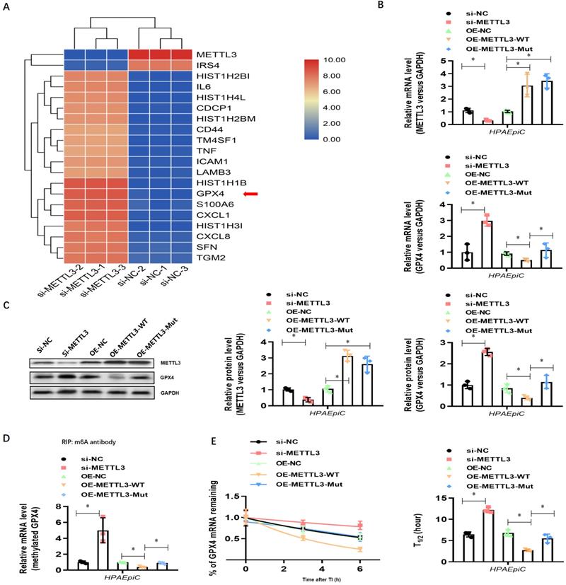 Int J Biol Sci Image