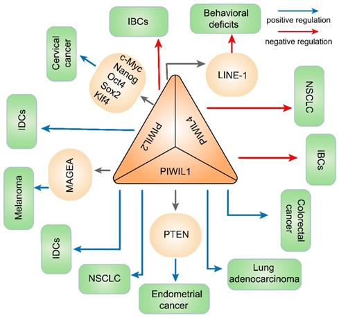 Int J Biol Sci Image