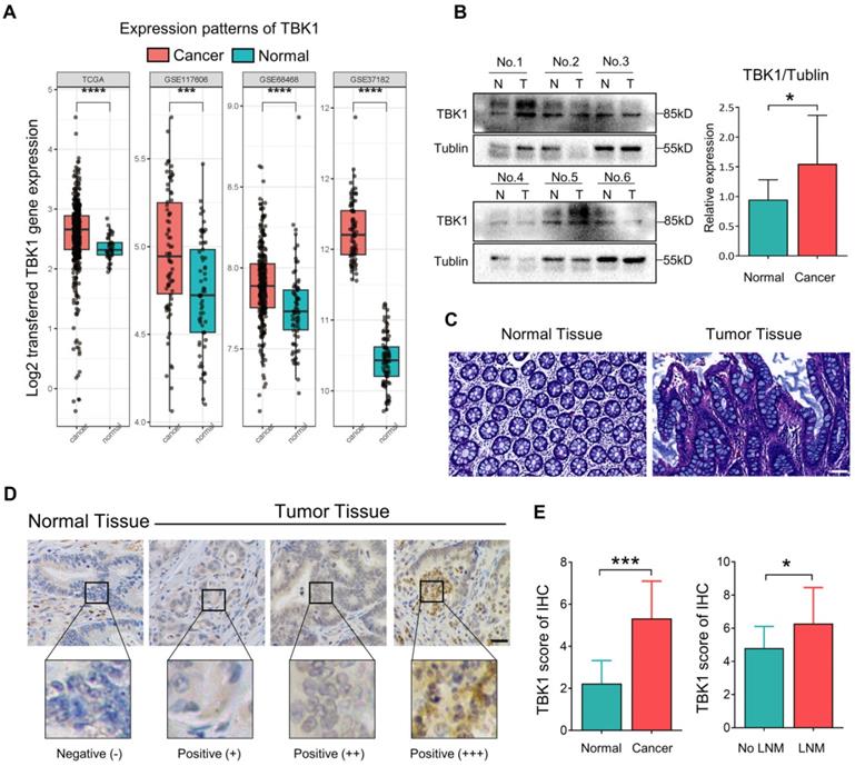 Int J Biol Sci Image