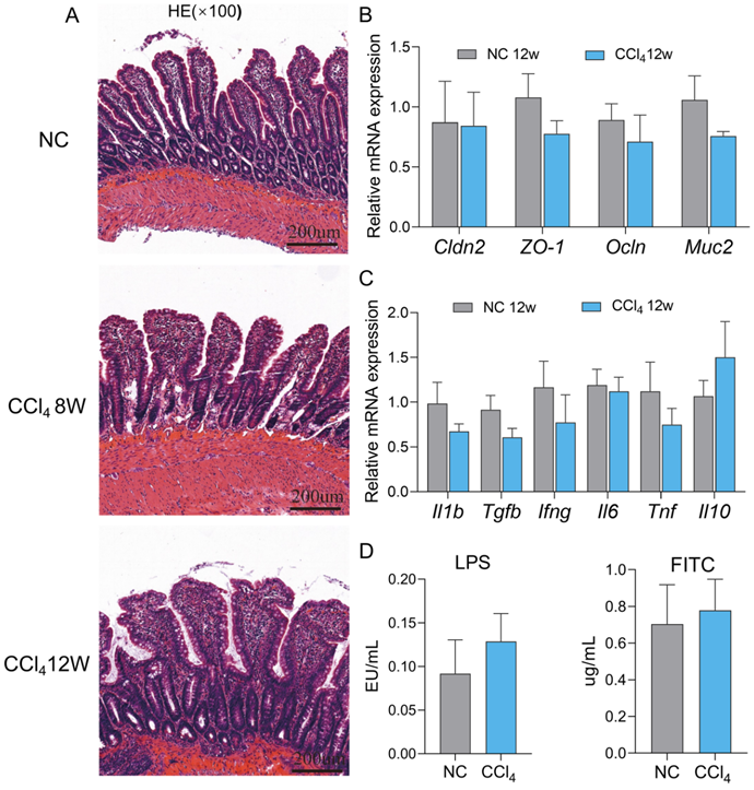 Int J Biol Sci Image