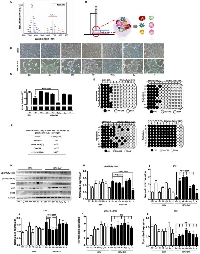 Int J Biol Sci Image