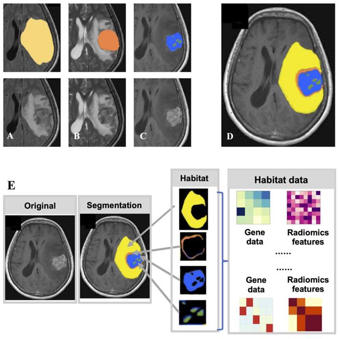 Int J Biol Sci Image