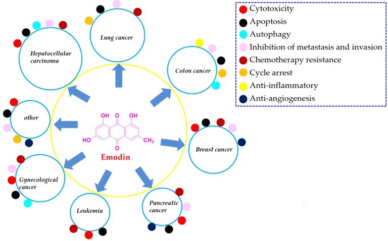 Int J Biol Sci Image