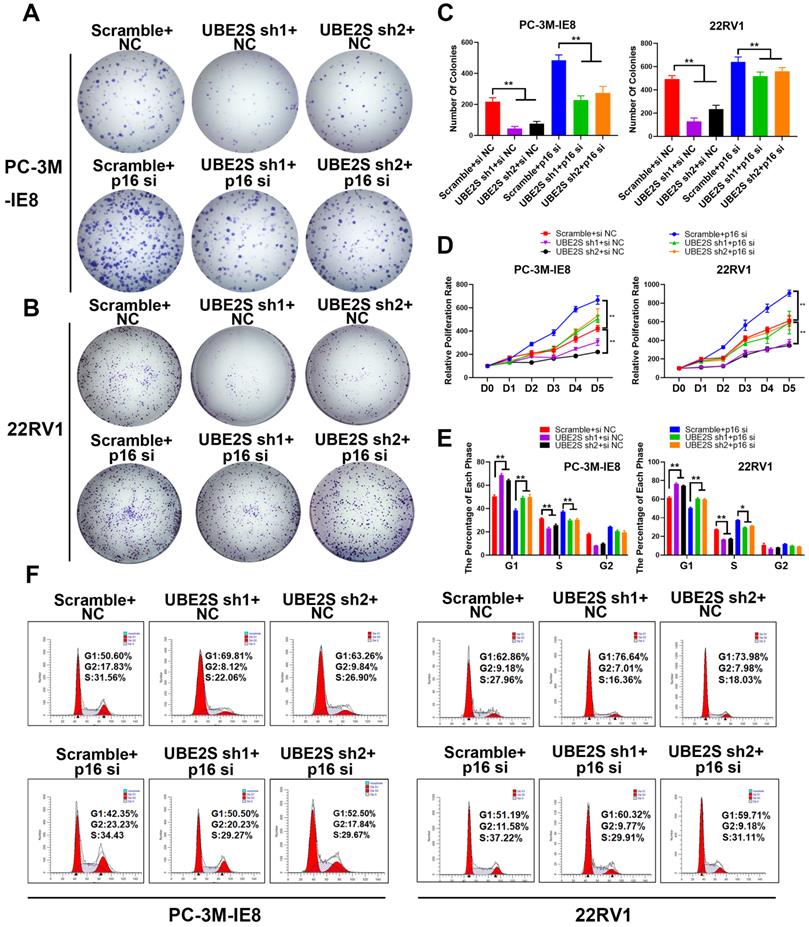 Int J Biol Sci Image