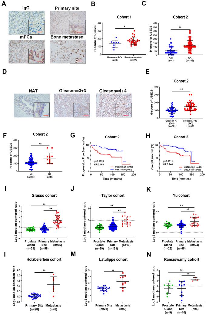 Int J Biol Sci Image