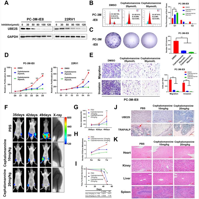 Int J Biol Sci Image