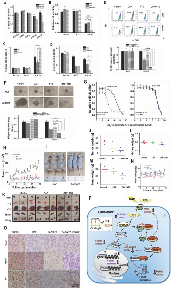 Int J Biol Sci Image