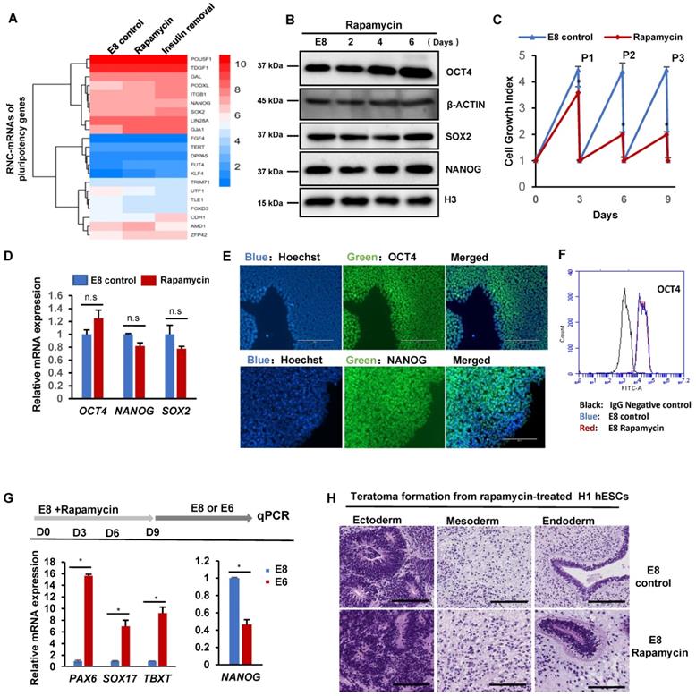 Int J Biol Sci Image