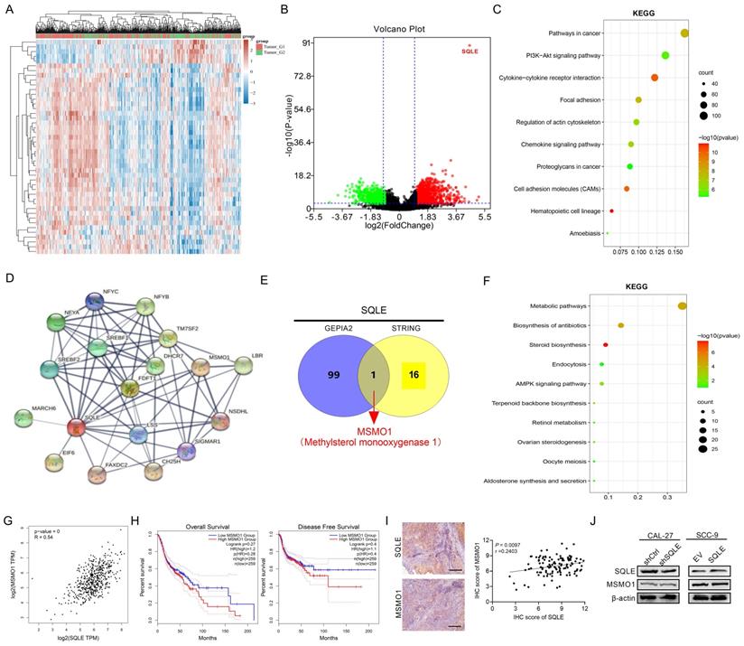 Int J Biol Sci Image