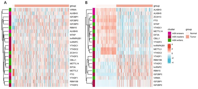 Int J Biol Sci Image