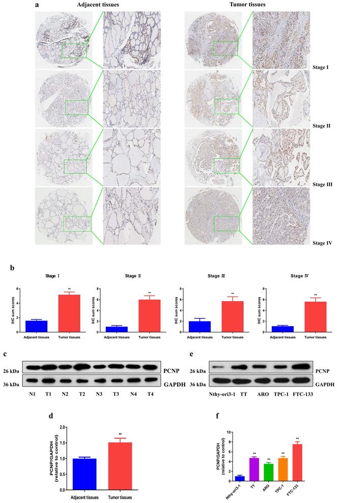 Int J Biol Sci Image