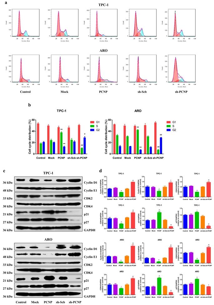 Int J Biol Sci Image