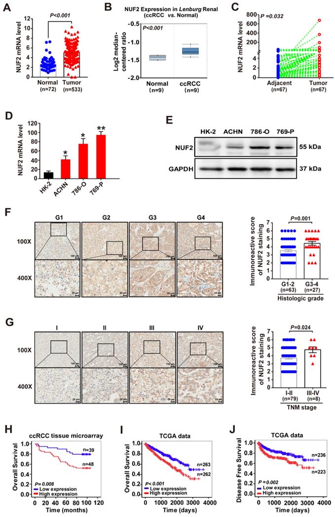 Int J Biol Sci Image