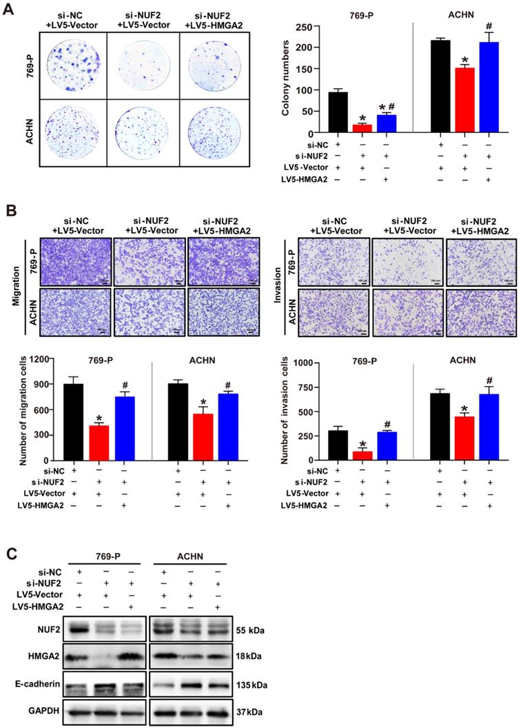 Int J Biol Sci Image