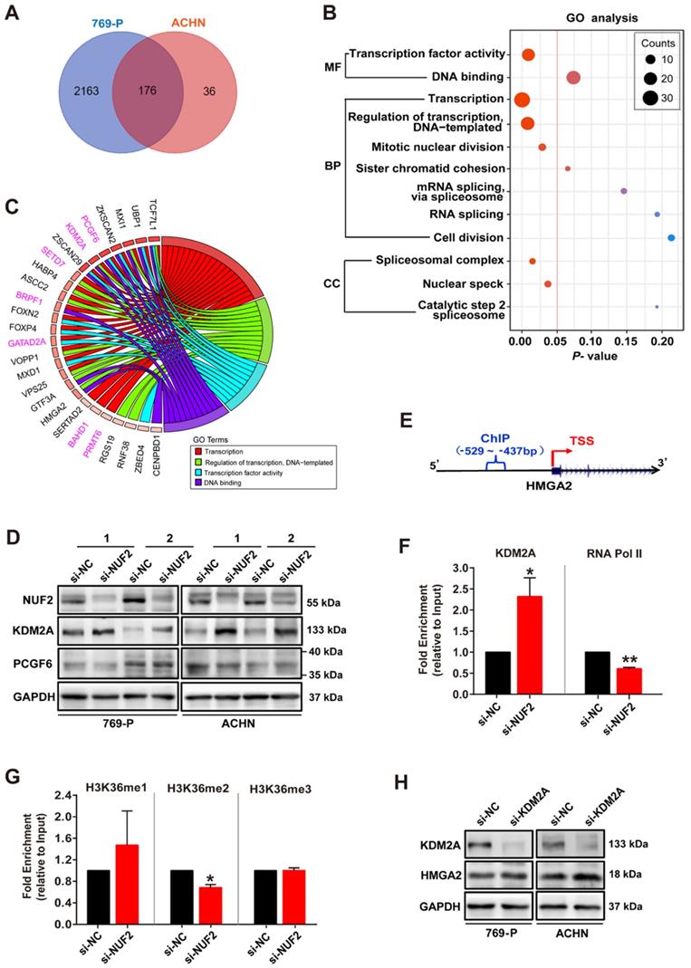 Int J Biol Sci Image