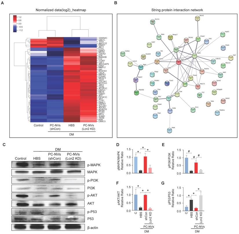 Int J Biol Sci Image