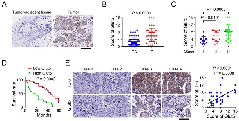 Int J Biol Sci Image