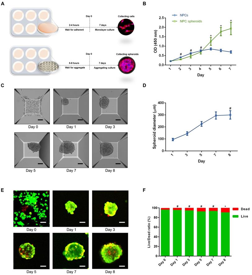 Int J Biol Sci Image