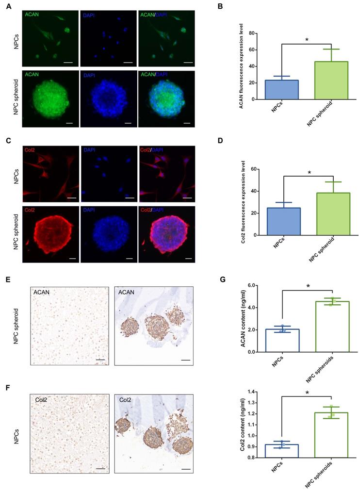 Int J Biol Sci Image