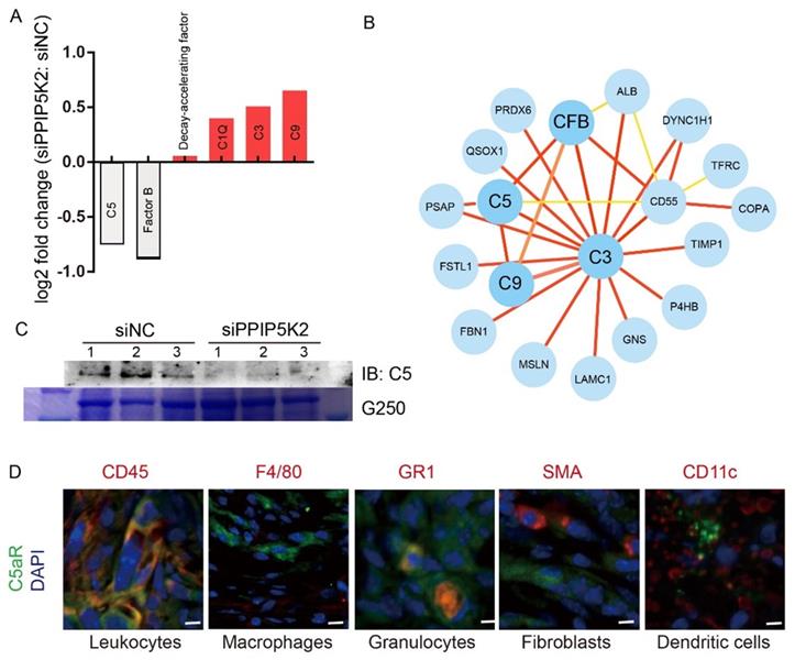 Int J Biol Sci Image