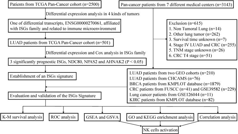 Int J Biol Sci Image