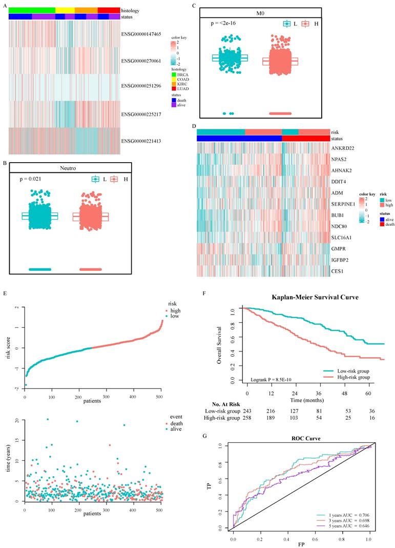 Int J Biol Sci Image