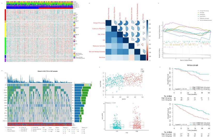 Int J Biol Sci Image