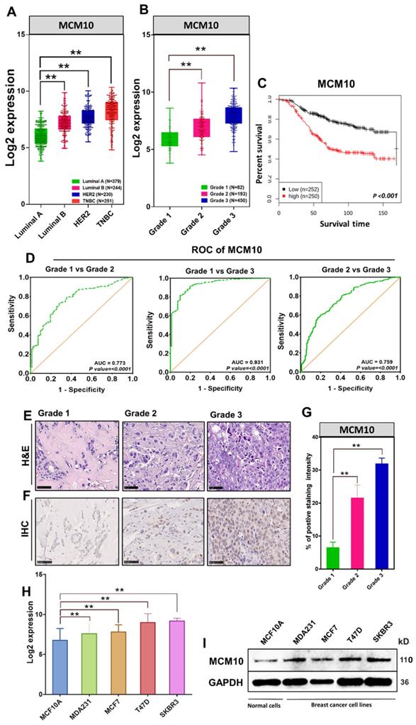 Int J Biol Sci Image