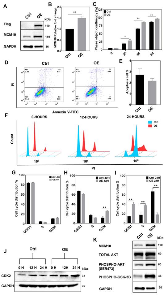 Int J Biol Sci Image