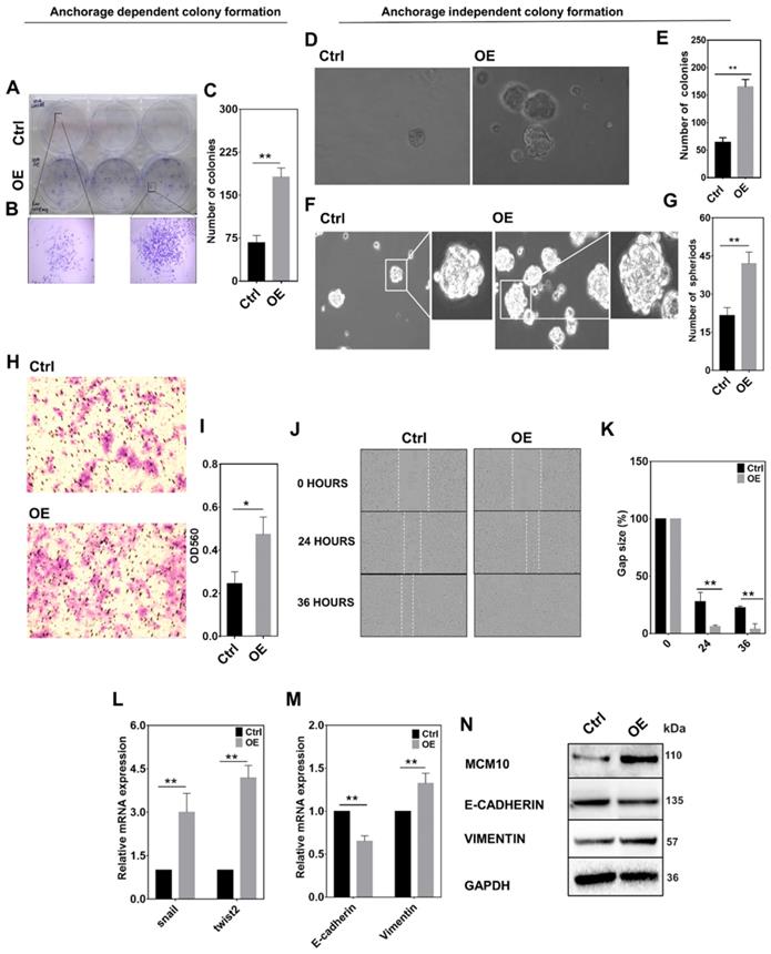 Int J Biol Sci Image